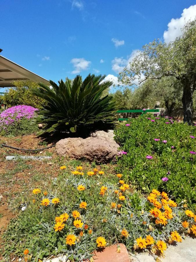 Bed and Breakfast da Patrizia Alghero Esterno foto
